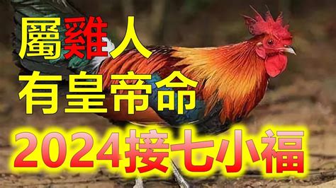 屬雞的年份|屬雞今年幾歲？2024屬雞生肖年齡對照表！屬雞性格特質